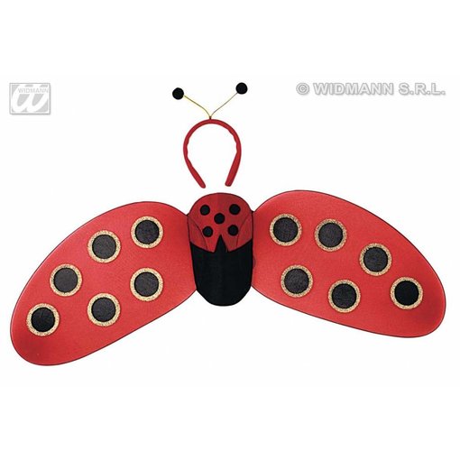 Lieveheersbeestje set