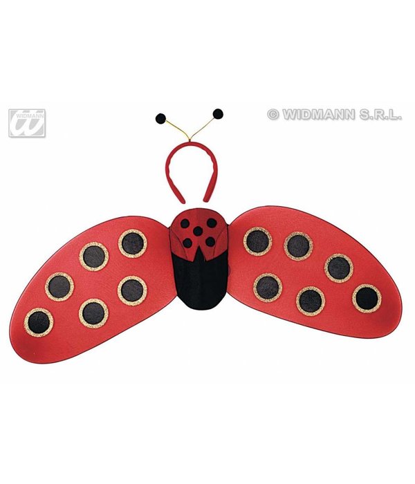 Lieveheersbeestje set