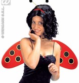 Lieveheersbeestje set