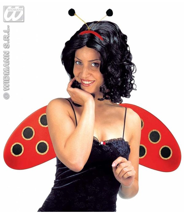 Lieveheersbeestje set