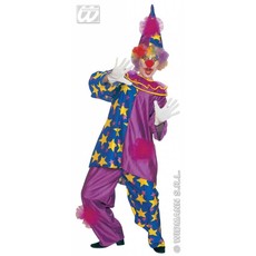 Clown met sterren