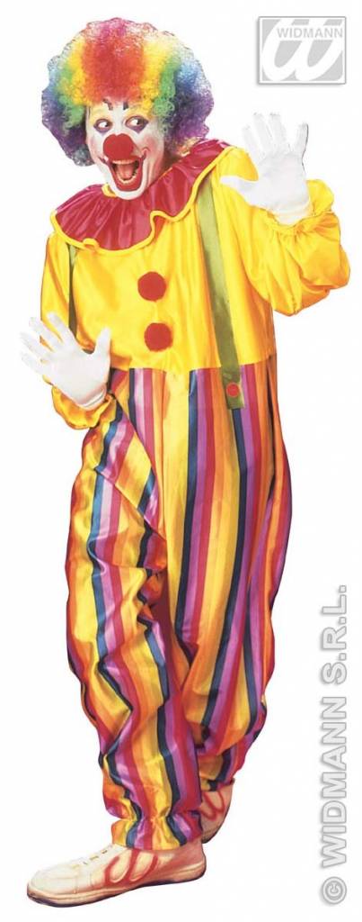 Funny Clown kostuum man afbeelding