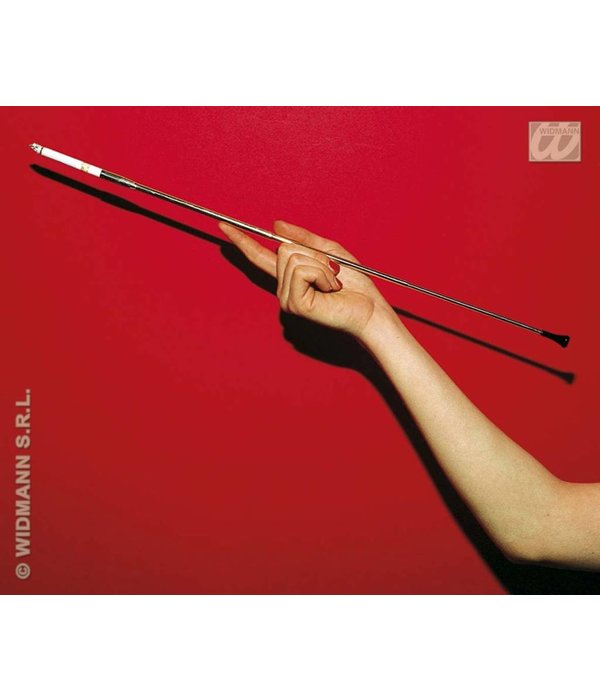 Uitschuifbare sigarettenhouder 45cm