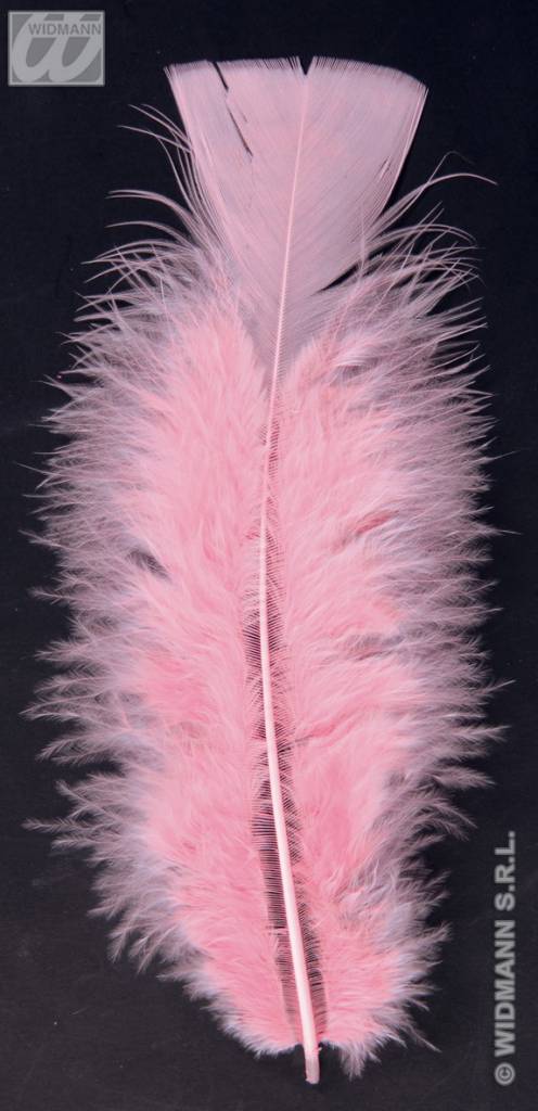 Zakje met 50 veertjes licht roze afbeelding