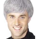 Pruik grijs kort modern