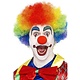 Crazy Clown pruik