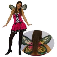 Carnavalskostuum Vlinder