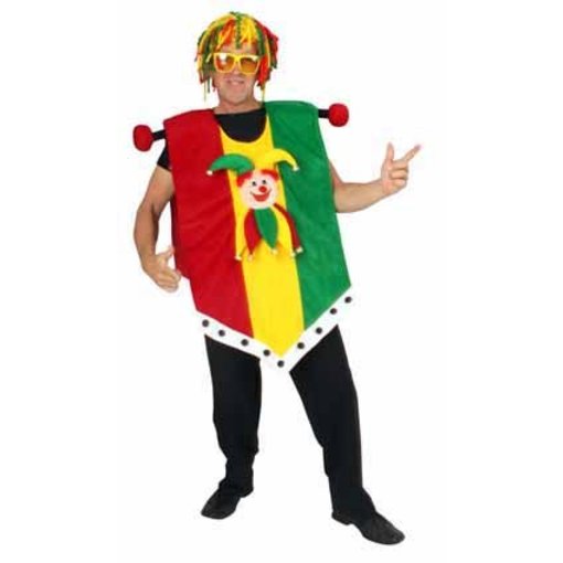 Vaandel kostuum limburg