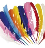 Kalkoen veer indiaan - piet