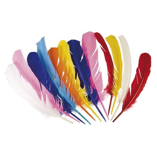 Kalkoen veer indiaan - piet