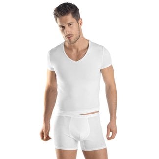 HANRO Hanro Heren ondergoed Micro Touch T-shirt 073108
