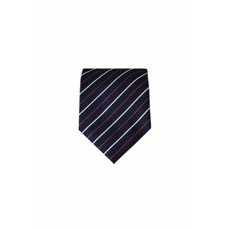 Massimo Valeri Blue silk necktie M15