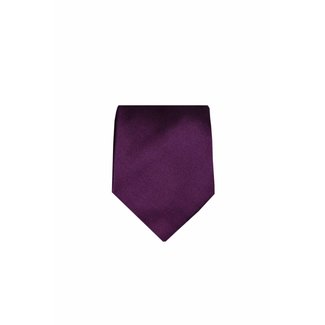 Purple tie VC16