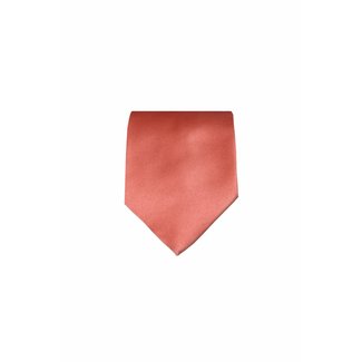 Orange tie VC46
