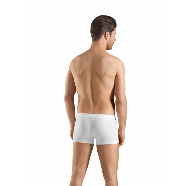 Hanro Men Underwear Sea Island Cotton shirt pants 073171