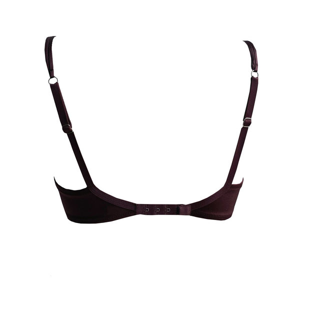 AMBRA Dessous Bh's Titanium Push-up  BH Rot 438