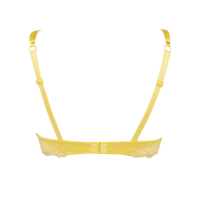 Lise Charmel Dessous Splendeur Soie Push up BH Vanille ACC8580