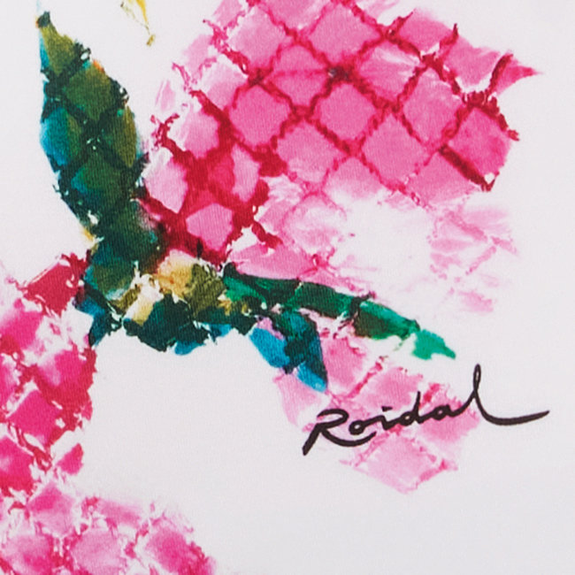 Bad & Strand Roidal Badpak Agata wit/rood/groen