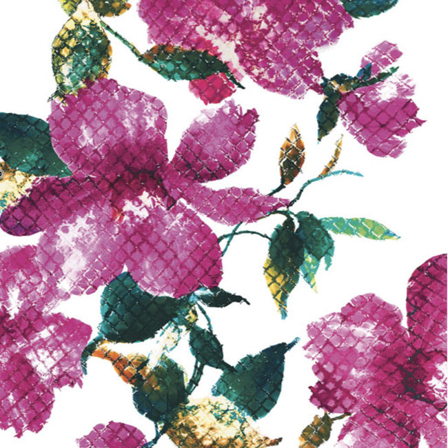 Beach & Swim Roidal Swimsuit Agata white/red/green