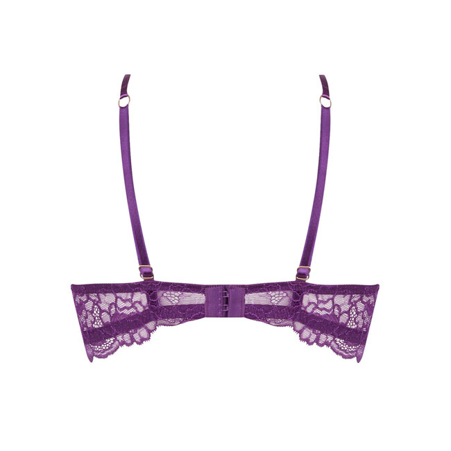 Lise Charmel  Sublime en Dentelle1/2 cup  Balcony Bra purple ACH3013