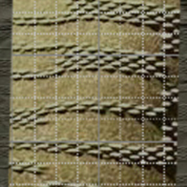 "Tessy by Roidal"  Badpak BATI,  horizontally ribbed swimsuit,  dark olive