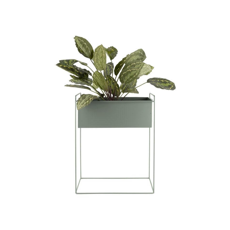 Plantenbak set Essence Present Time jungle green