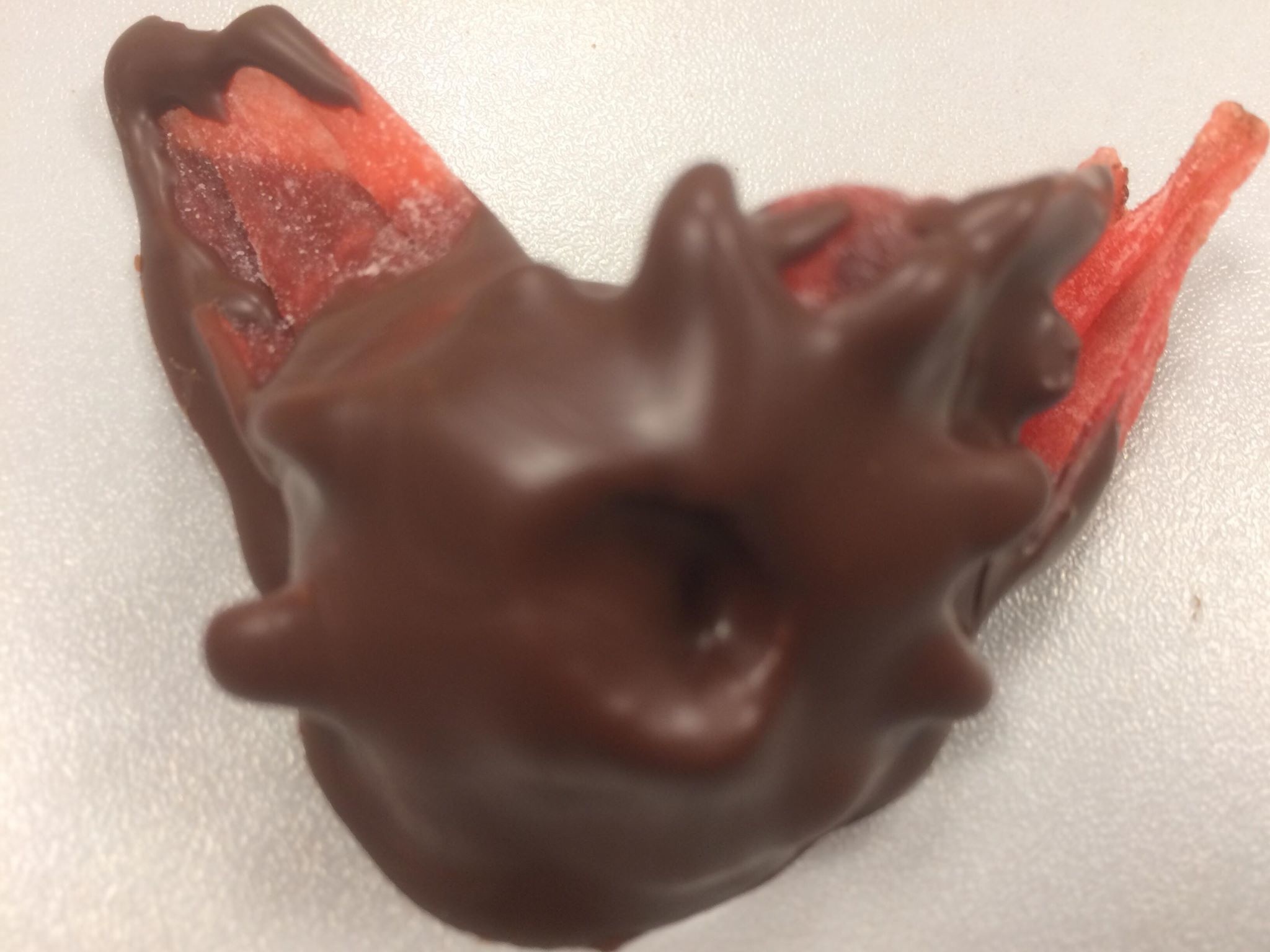 Hibiscus gedipt in pure chocolade