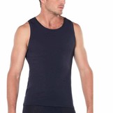 Icebreaker | 150 Anatomica | Hemd voor mannen met merinowol