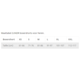 2UNDR Power Shift 6inch heren boxershort (MAAT S)