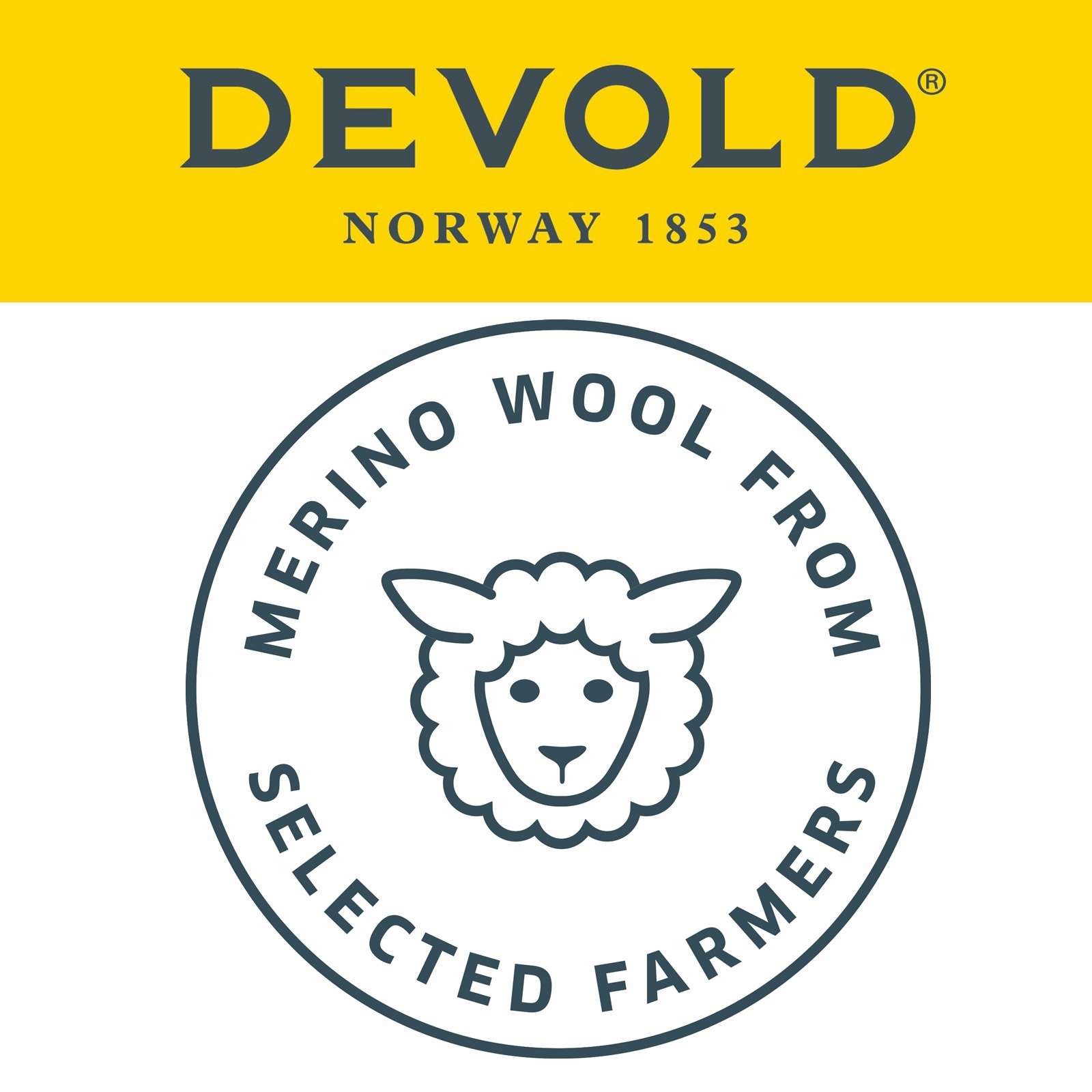 Devold of Norway | Duo Active Merino | Thermoshirt voor vrouwen met lange mouwen