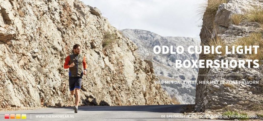 Odlo boxer Cubic review
