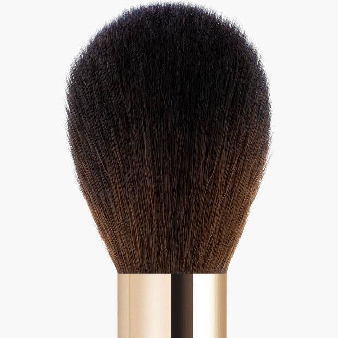 Precision Powder Brush