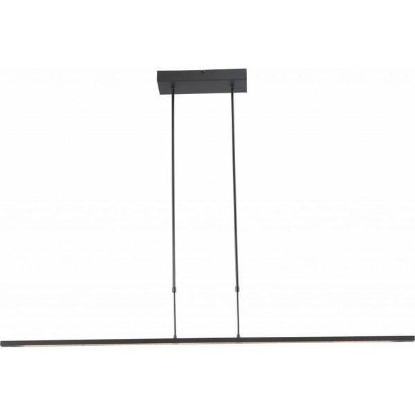 Master Light Hanging lamp Real 2 LED Black