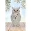 Sweet Lake Compagny Snow owl 24 cm