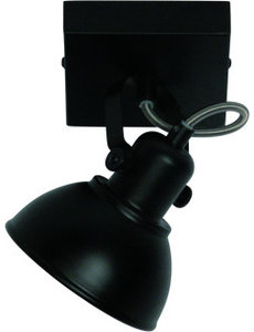 Freelight Spot Santo Black 1 light