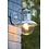 Lucide Outdoor lamp Figo Zinc