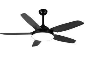 Ceiling fans