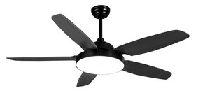Ceiling fans