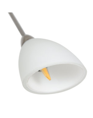 Steinhauer Glass of White at an angle
