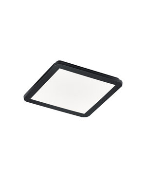 Trio Leuchten Plafondlamp Camillus  30 cm