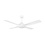 Eglo Ceiling fan Bondi with LED