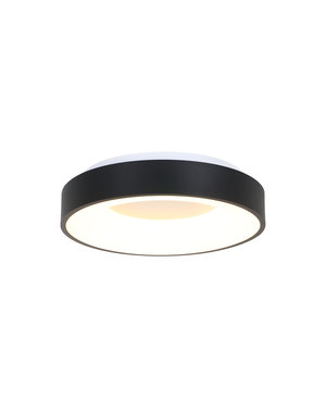 Steinhauer Ceiling lamp Ringlede