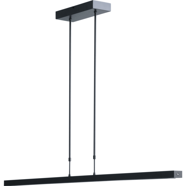 Master Light Hanging lamp Oak Black