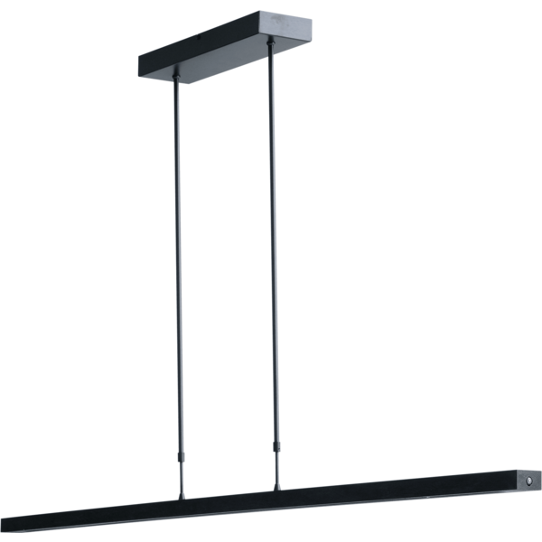 Master Light Hanglamp Eiken Zwart