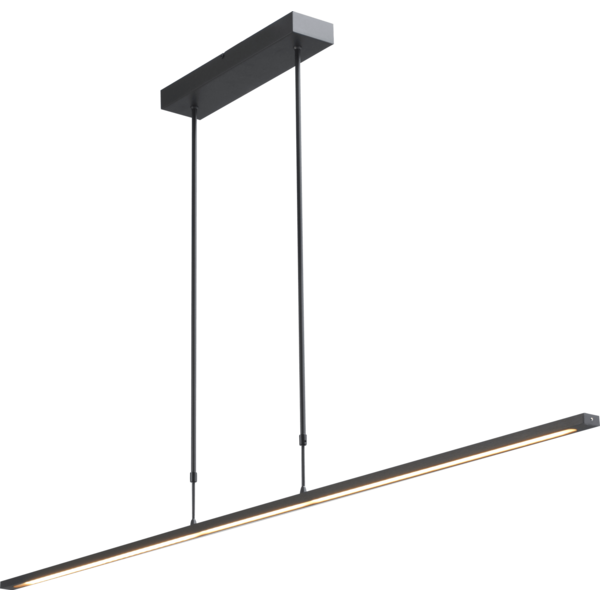 Master Light Hanging lamp Real 2 LED Black