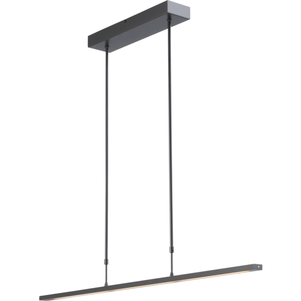 Master Light Hanglamp Real 2 Led Zwart