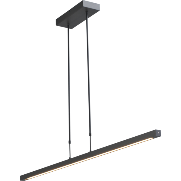 Master Light Hanglamp Real 3 zwart Led