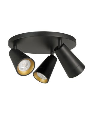 HighLight  Petunia 3-light ceiling spotlight