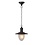 Lucide Outdoor hanging lamp Aruba Black