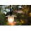 Lucide Outdoor hanging lamp Aruba Black